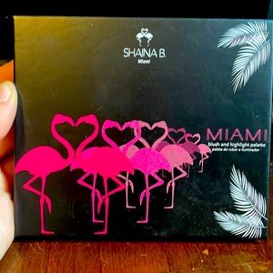 Shaina B. Miami blush and highlight palette